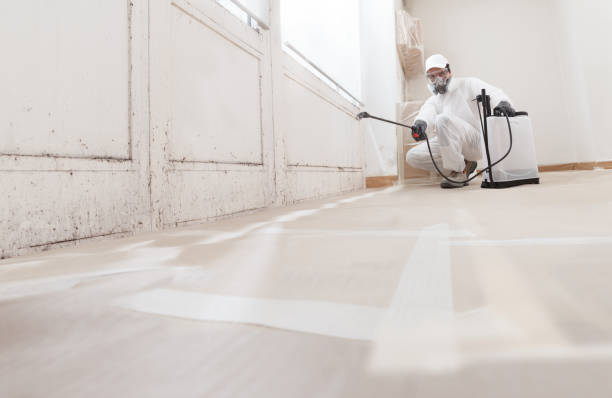 24/7 Emergency Mold Remediation experts in Bunk Foss, WA